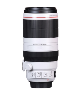 Canon EF 100-400mm f/4.5-5.6L IS II USM Lens