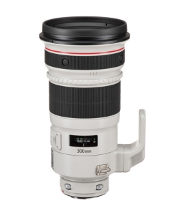 Canon EF 300mm f/2.8L IS II USM Lens
