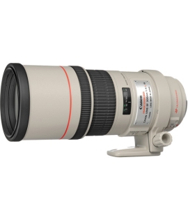 Canon EF 300mm f/4L IS USM Lens
