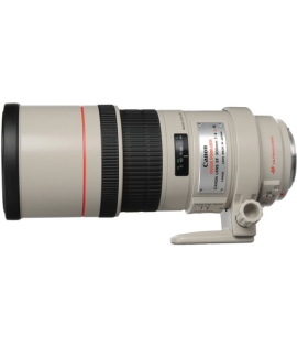 Canon EF 300mm f/4L IS USM Lens