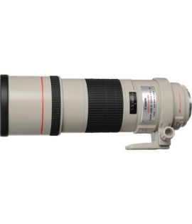 Canon EF 300mm f/4L IS USM Lens