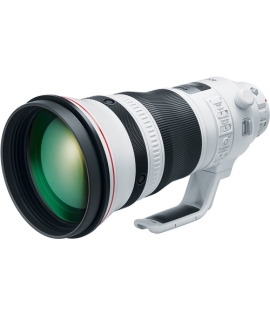 Canon EF 400mm f/2.8L IS III USM Lens