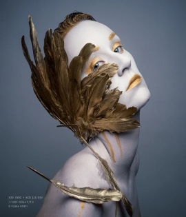 Hasselblad X2d 100c Medium Format Mirrorless Camera