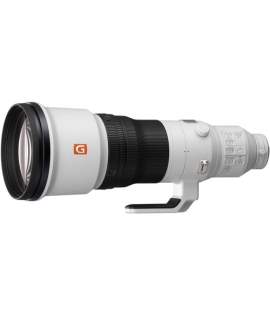 Sony FE 600mm f/4 GM OSS Lens
