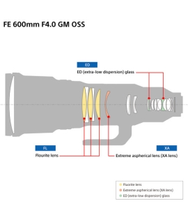 Sony FE 600mm f/4 GM OSS Lens