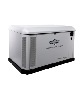 Briggs &amp; Stratton PowerProtect+ DX 22kW Home Standby Generator