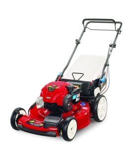 Toro Recycler SmartStow 22 Inch 163cc Variable Speed Lawn Mower